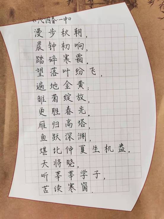 3cf21919-540b-484f-bff2-f758e2a85db1.jpg