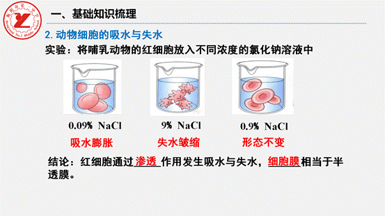 clip_image012.gif 第7讲-水进出细胞的原理_06