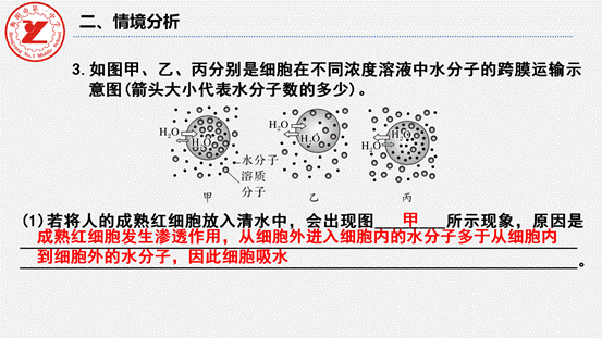 clip_image022.gif 第7讲-水进出细胞的原理_11