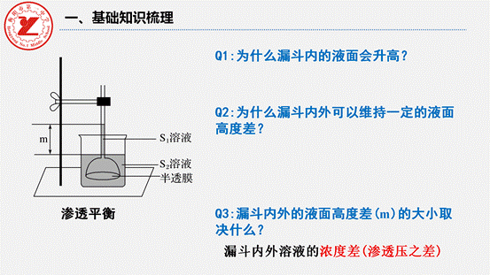 clip_image006.gif 第7讲-水进出细胞的原理_03