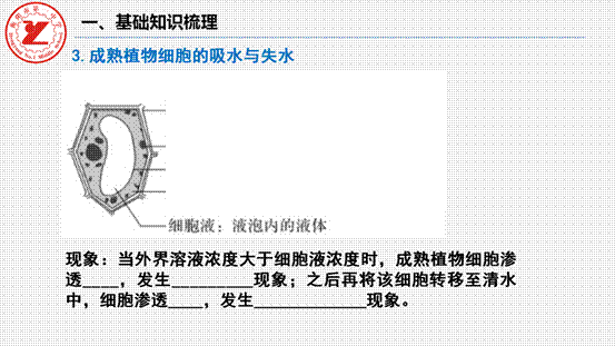 clip_image014.gif 第7讲-水进出细胞的原理_07