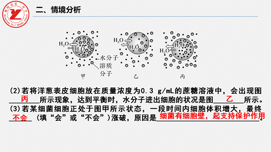 clip_image024.gif 第7讲-水进出细胞的原理_12