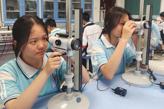 23ccaa213a1053df413a15c9ddcbcdc4